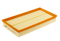 Filter Insert
